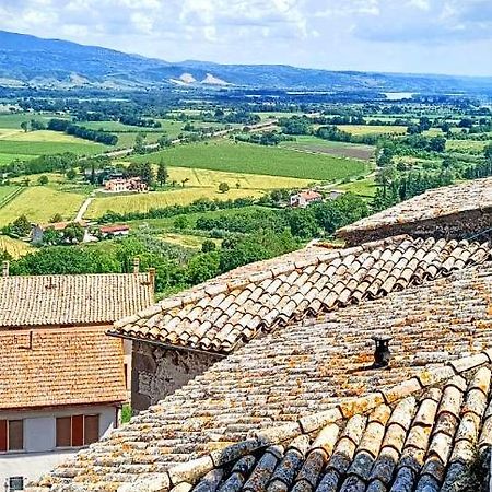 Castiglione In Teverina Domus Claudiaヴィラ エクステリア 写真