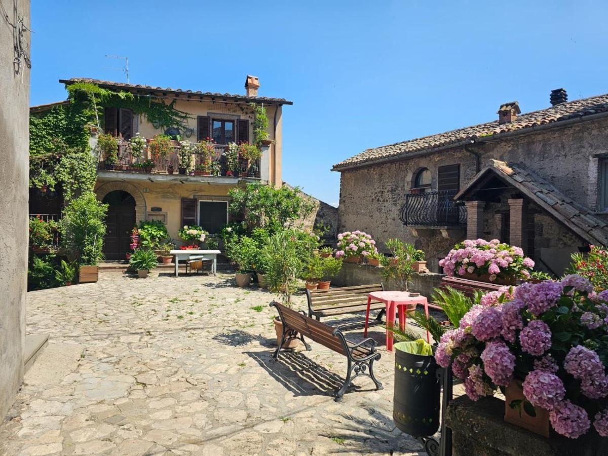 Castiglione In Teverina Domus Claudiaヴィラ エクステリア 写真